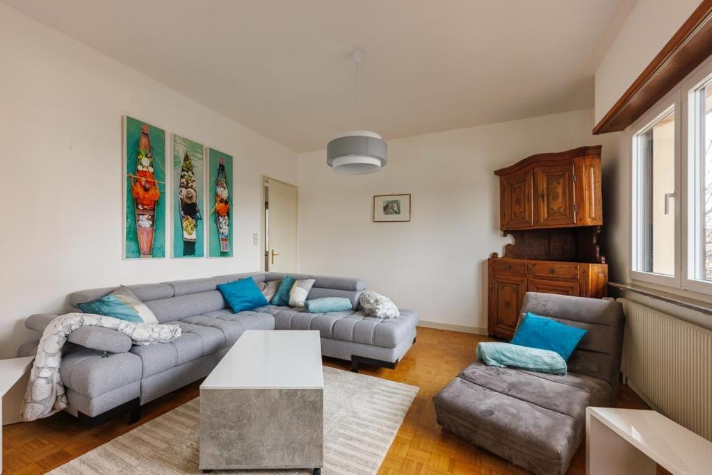 Maison De Caractere A Chatenois מראה חיצוני תמונה